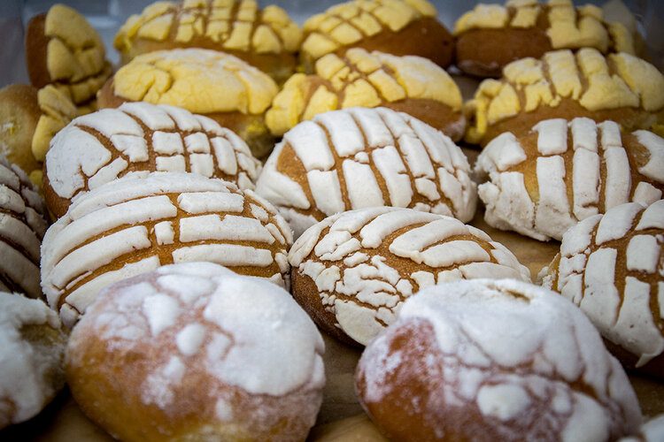 Conchas frescas de vainilla, chocolate y rosa con cubierta azucarada marcada.